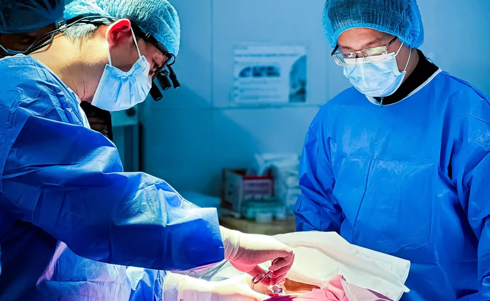 Cartilage Procedures in the Knee